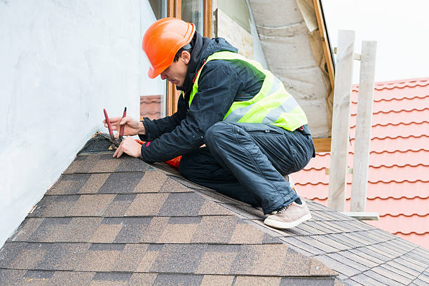Best Roof Gutter Cleaning  in North Highlands, CA